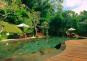 Nandini Jungle Resort