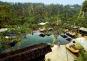 Nandini Jungle Resort